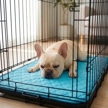 Cooling Mat for Flat-Faced Dogs